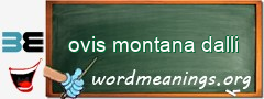 WordMeaning blackboard for ovis montana dalli